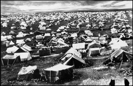 Camp de réfugiés palestiniens, 1970